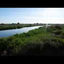 Das Gelände zwischen Straße und Meer